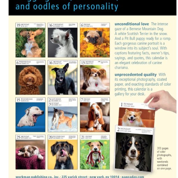 Dog | Dog 223 Pageaday Gallery Calendar | Poshmark